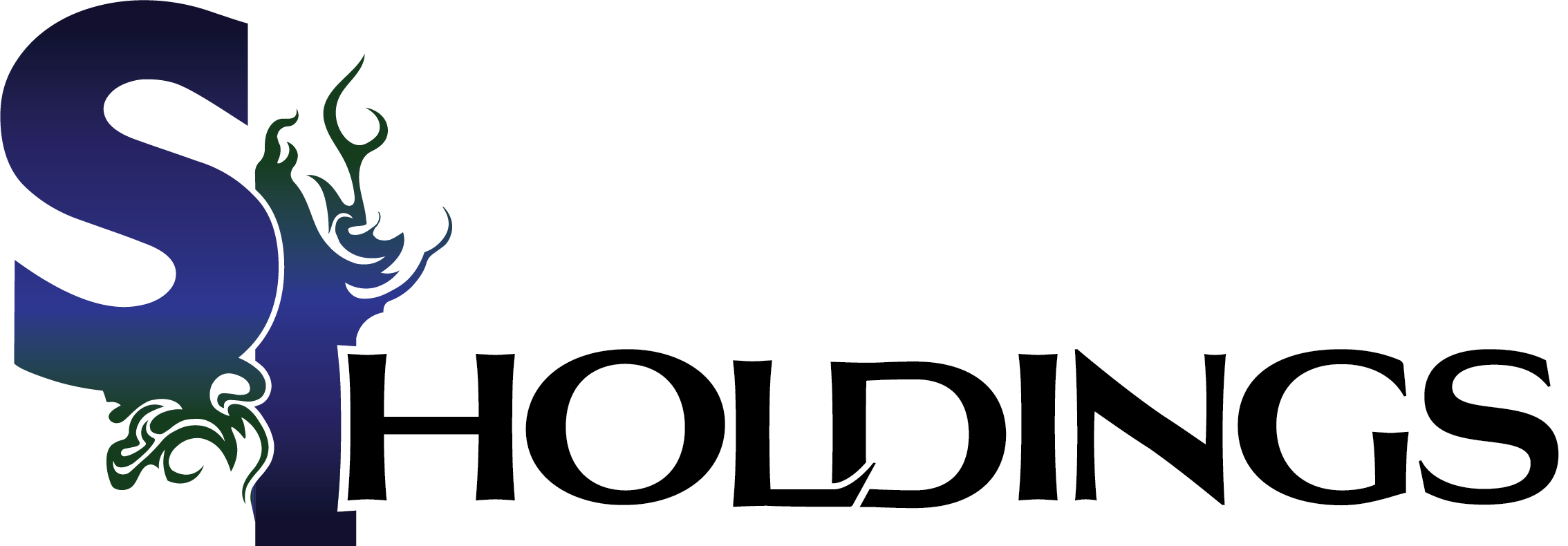 SI Holdings 